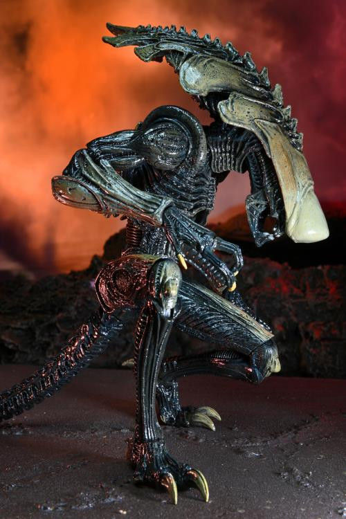 Alien vs Predator résine Masque AVP Movie Replica Collectible Statue Halloween Prop 